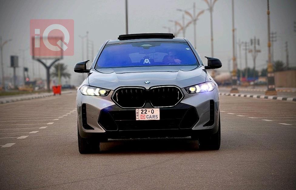 BMW X6